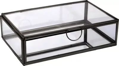 Juwelendoos glas rechthoek 13x20x8cm zwart