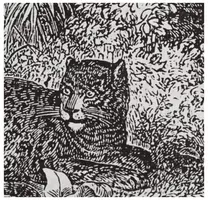 Kersten wanddoek katoen luipaard 125x174cm zwart - afbeelding 2