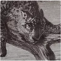 Kersten wanddoek katoen luipaard 144x109cm zwart - afbeelding 2