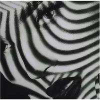 Kersten wanddoek velours lady stripes 140x170cm zwart - afbeelding 2