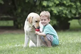 Kong hond Classic rubber “M”, rood - afbeelding 7