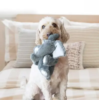 Kong hond Comfort Kiddos olifant, small. - afbeelding 3