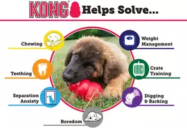 Kong hond Puppy, large. - afbeelding 10