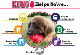 Kong hond Puppy, small. - afbeelding 10