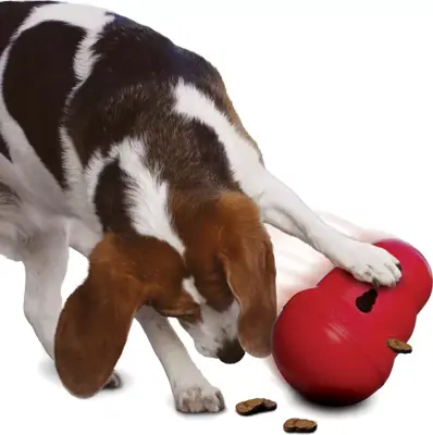 Kong hond Wobbler rood, small. - afbeelding 3