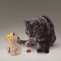 Kong kat Softies, buzzy llama. - afbeelding 2