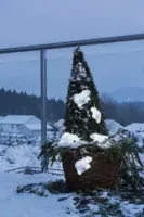 Konstsmide kerstverlichting LED lichtsnoer 5m met 5 acryl ijsberen 8 led per ijsbeer - afbeelding 4