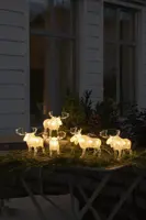 Konstsmide LED kerstfiguren acryl 5 elanden 15,5 x 13cm - afbeelding 3