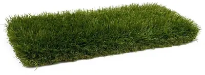 Kunstgras Easy_eco28 3m - afbeelding 4