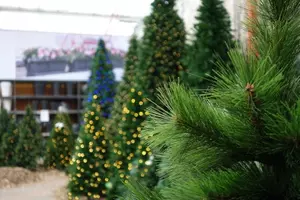 Kunstkerstbomen