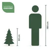 kunstkerstboom met LED op batterij 60cm - afbeelding 3
