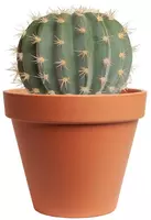 Kunstplant cactus 14cm groen (excl. pot) - afbeelding 1