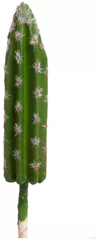 Kunstplant cactus 15cm groen (excl. pot) - afbeelding 2