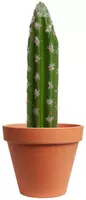 Kunstplant cactus 15cm groen (excl. pot) - afbeelding 1