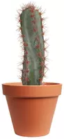 Kunstplant cactus 22cm groen (excl. pot) - afbeelding 1