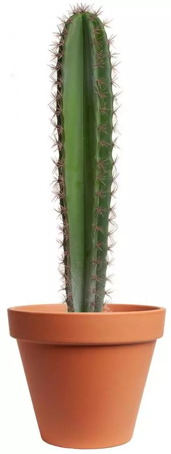 Kunstplant cactus 54cm groen (excl. pot) - afbeelding 1