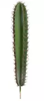 Kunstplant cactus 54cm groen (excl. pot) - afbeelding 2