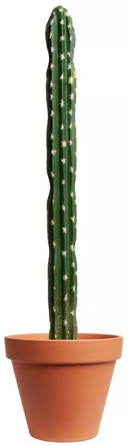 Kunstplant cactus 55cm groen (excl. pot) - afbeelding 1