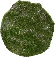 Kunstplant mos 25cm groen - afbeelding 1