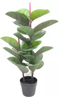Kunstplant rubberboom 85cm groen kopen?