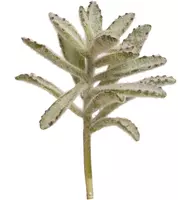 Kunstplant vetplant 10cm groen (excl. pot) - afbeelding 2