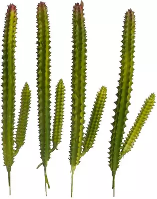 Kunstplant vetplant 15cm groen (excl. pot) - afbeelding 2
