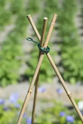 Kunststof ring grn d11mm - afbeelding 2