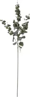 Kunsttak eucalyptus 0cm groen - afbeelding 1