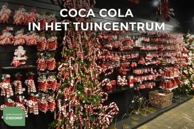 Kurt S. Adler Coca-Cola kerstman met koelbox 26cm rood, wit - afbeelding 3