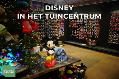 Kurt S. Adler kunststof kerstbal Disney Alice 10cm multi - afbeelding 3