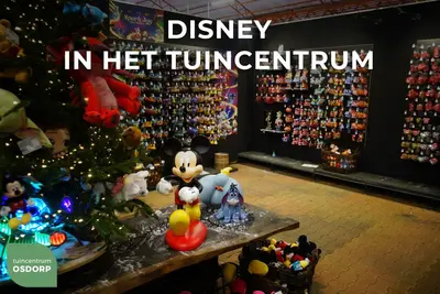 Kurt S. Adler kunststof kerstbal Disney Donald Duck hoofd 6cm goud - afbeelding 3