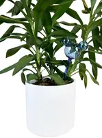 Kurt S. Adler watersysteem disney mickey mouse kopen?