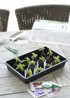 Kweekbak zwart 55x31cm - afbeelding 2