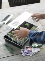 Kweekbak zwart 55x31cm - afbeelding 4