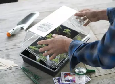 Kweekbak zwart 55x31cm - afbeelding 5