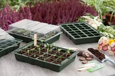 Kweekbakset 10,5x35x23,5 cm 4 stuks - afbeelding 3