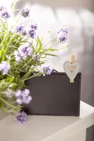 Lavandula angustifolia (Spijklavendel) - afbeelding 43