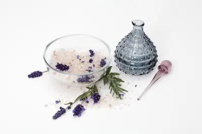 Lavandula angustifolia (Spijklavendel) - afbeelding 24