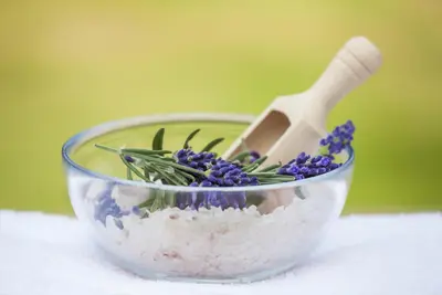 Lavandula angustifolia (Spijklavendel) - afbeelding 25