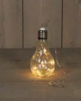 LED lamp op batterijen 9x17 cm met 10 lampjes warm wit kopen?