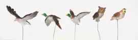 Lemax assorted birds s/5 kerstdorp accessoire 2008 - afbeelding 1