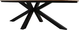 Lesli Living dining tuintafel arezzo 240x110x74cm antraciet - afbeelding 3