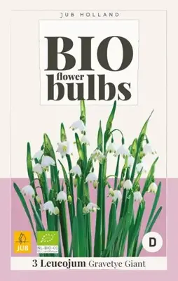 Leucojum Gravetye Giant 3 stuks biologisch geteeld - afbeelding 2
