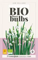 Leucojum Gravetye Giant 3 stuks biologisch geteeld - afbeelding 2