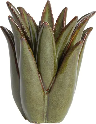 Light & Living kandelaar keramiek cactus 13x16cm donkergroen - afbeelding 1