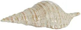 Light & Living ornament keramiek schelp 23x9.5x23cm zand - afbeelding 1