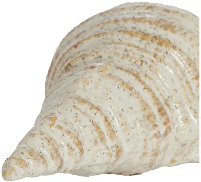 Light & Living ornament keramiek schelp 23x9.5x23cm zand - afbeelding 2