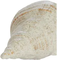 Light & Living ornament keramiek schelp 27.5x12.5x9cm beige - afbeelding 2