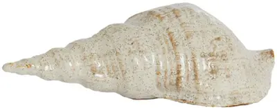 Light & Living ornament keramiek schelp 27.5x12.5x9cm beige - afbeelding 1