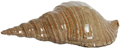Light & Living ornament keramiek schelp 27.5x12.5x9cm bruin - afbeelding 1